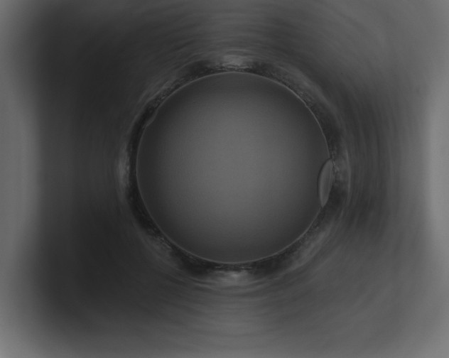 X0000100920552200806241346