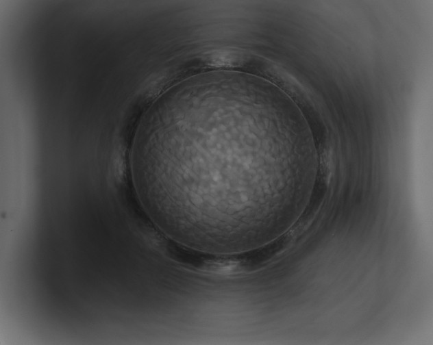 X0000100920554200806241346