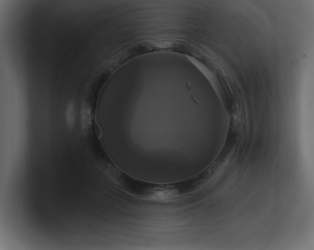 X0000100920555200806241346