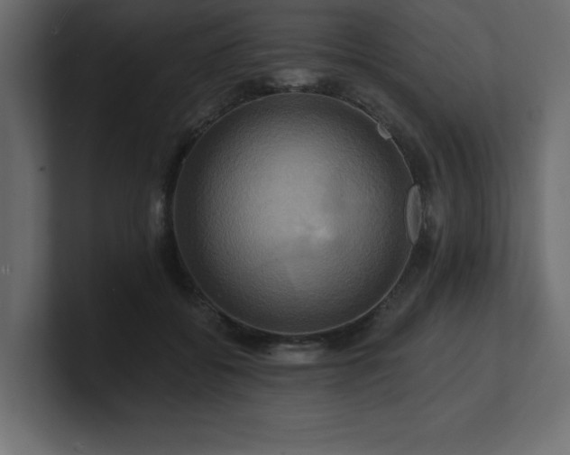 X0000100920556200806241346