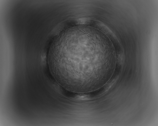 X0000100920557200806241346