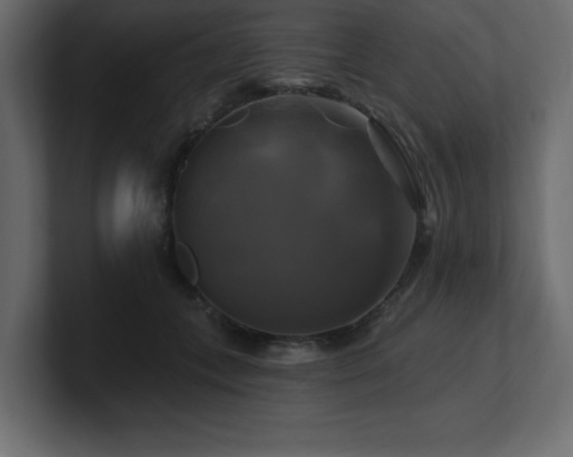 X0000100920559200806241346