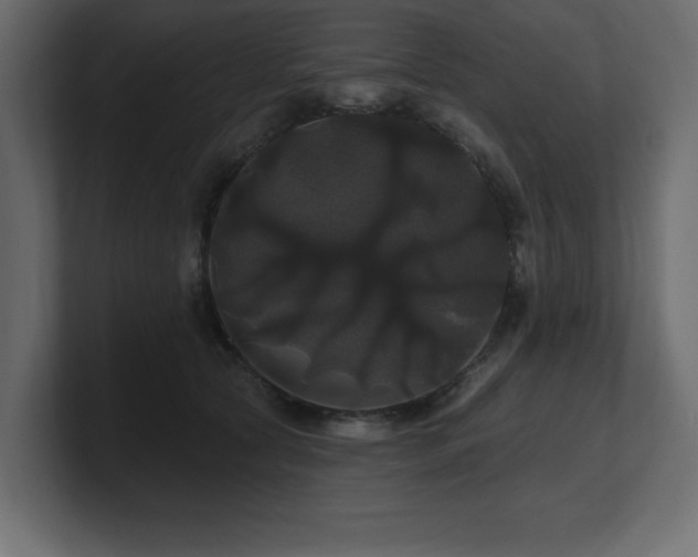 X0000100920561200806241346