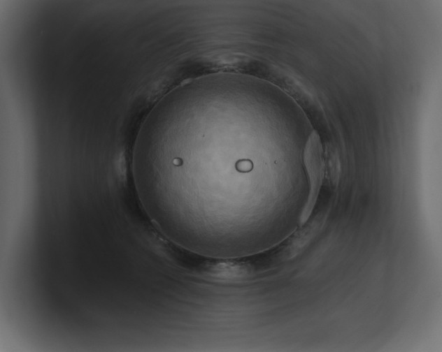 X0000100920562200806241346