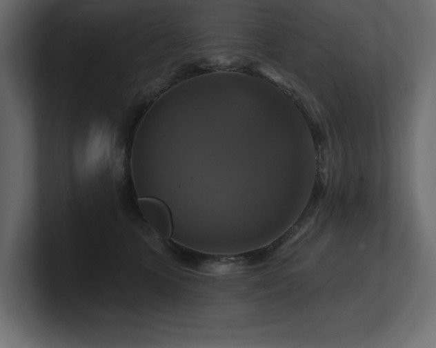 X0000100920563200806241346