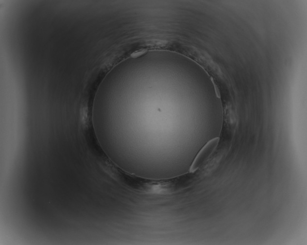 X0000100920564200806241346