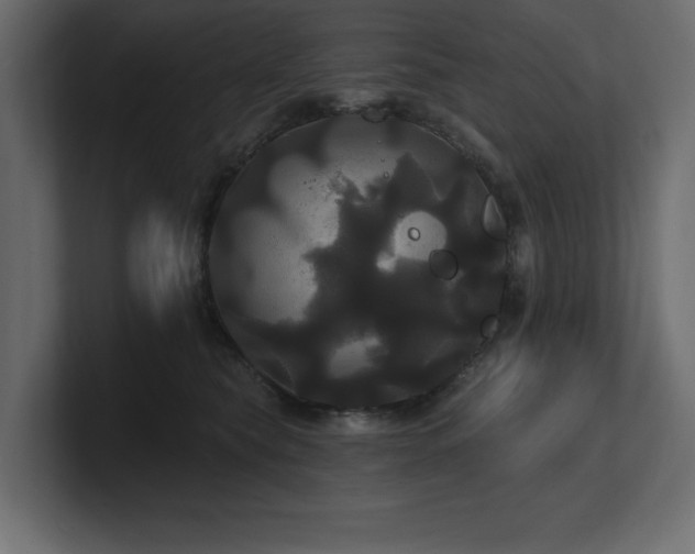 X0000100920565200806241346