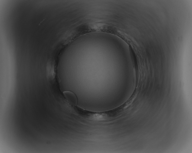 X0000100920566200806241346