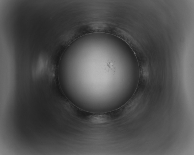 X0000100920567200806241346