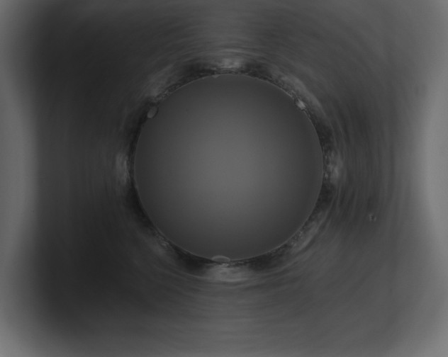 X0000100920568200806241346