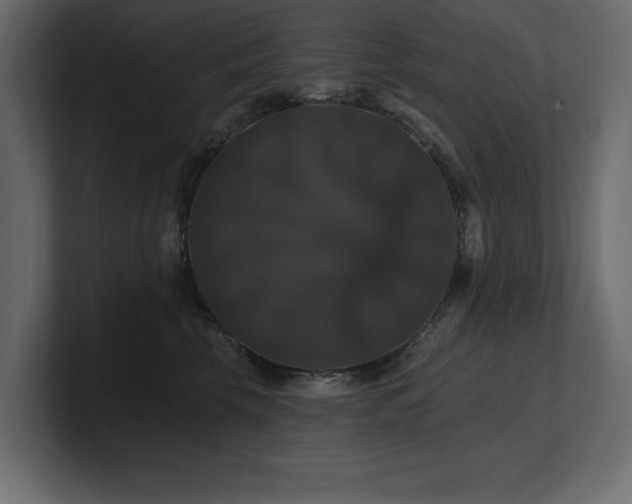 X0000100920569200806241346