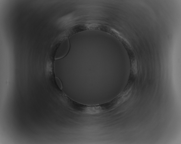 X0000100920571200806241346