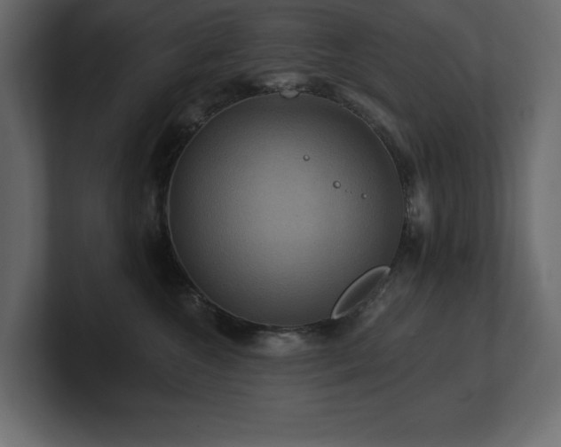 X0000100920572200806241346