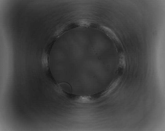 X0000100920573200806241347