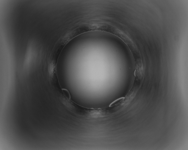 X0000100920574200806241347