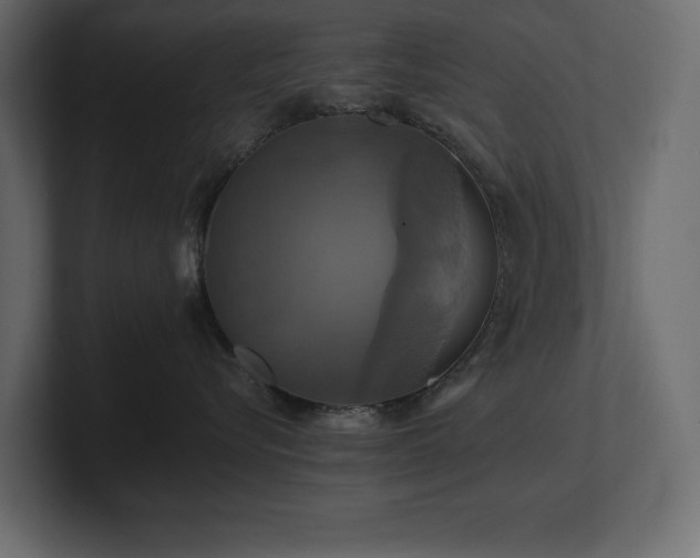 X0000100920576200806241347