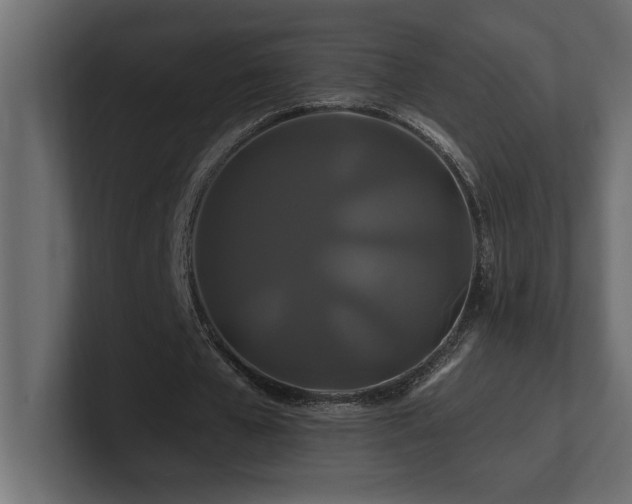 X0000100920577200806241346