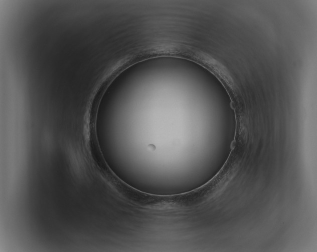 X0000100920578200806241346