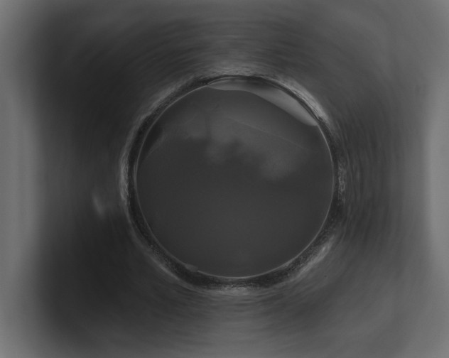 X0000100920581200806241346