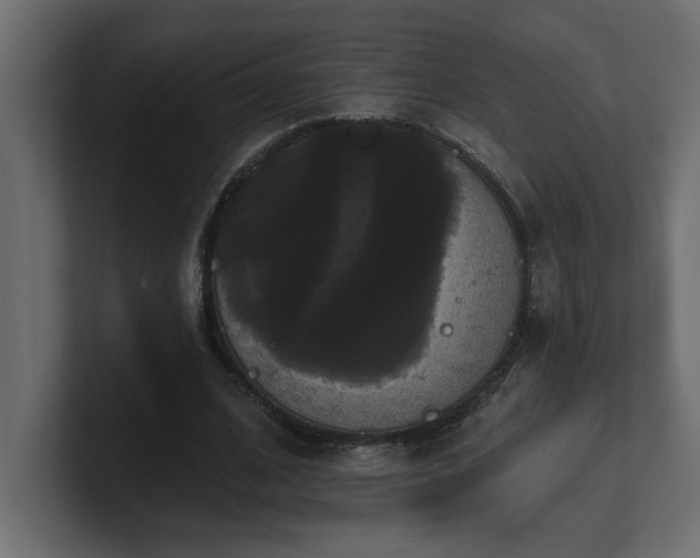 X0000100920584200806241346