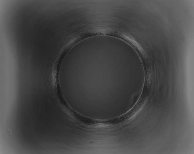 X0000100920585200806241346