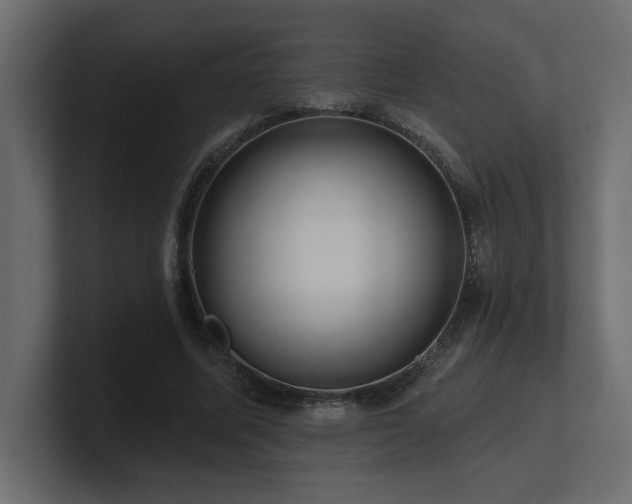 X0000100920587200806241346