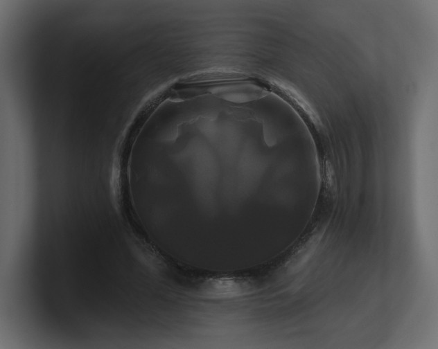 X0000100920588200806241346