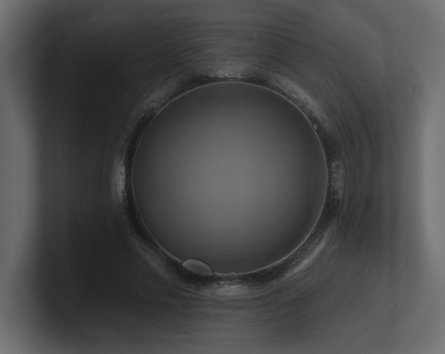 X0000100920589200806241346