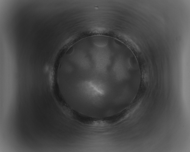 X0000100920591200806241346