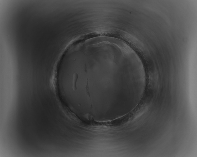 X0000100920592200806241346