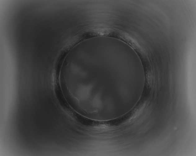 X0000100920594200806241346