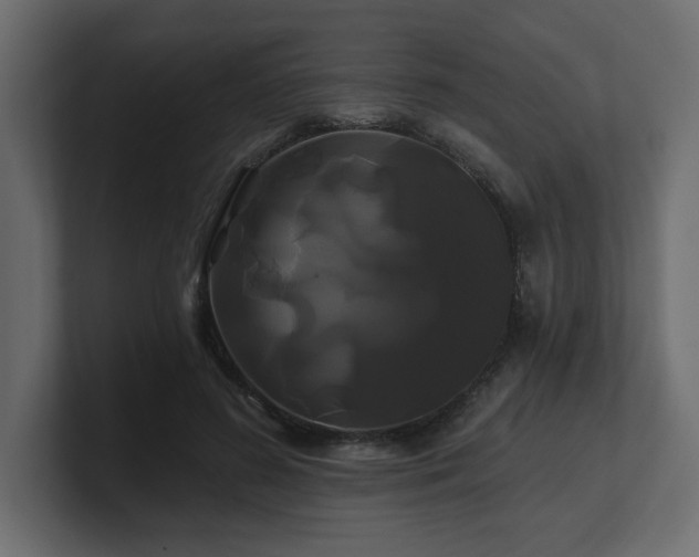 X0000100920596200806241346