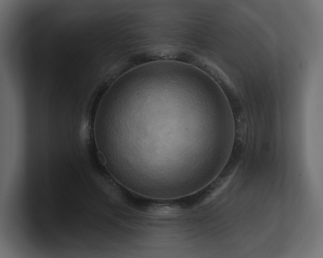 X0000100920597200806241346