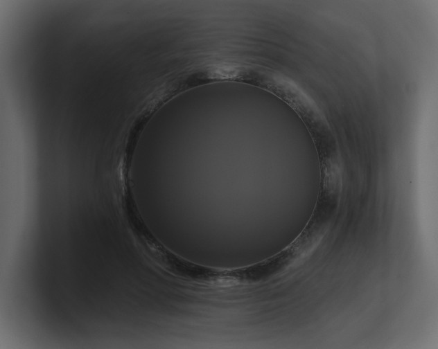 X0000100920598200806241346