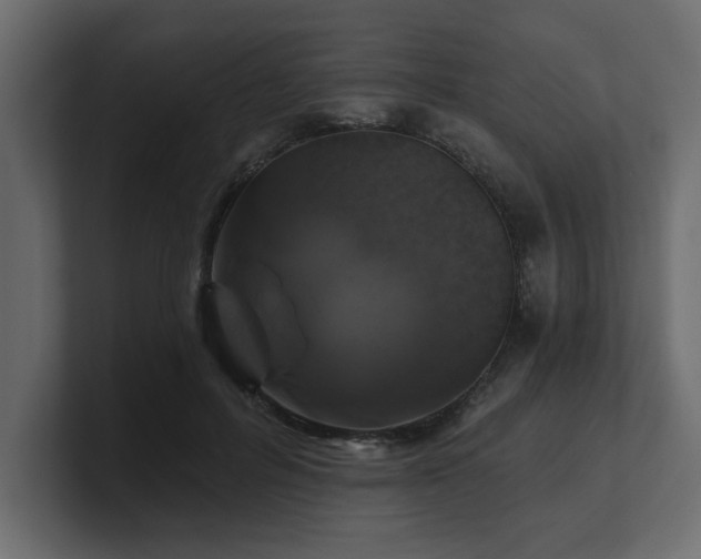 X0000100920600200806241346