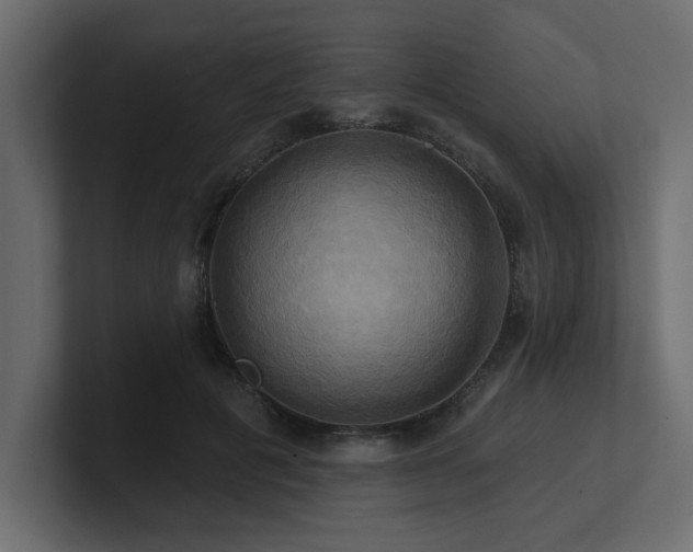 X0000100920601200806241346