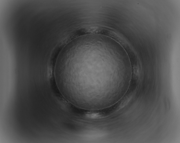 X0000100920602200806241346