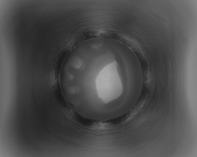 X0000100920607200806241346