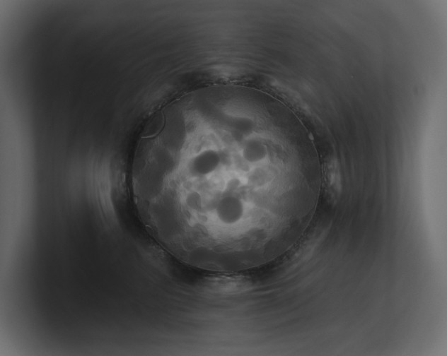 X0000100920615200806241345