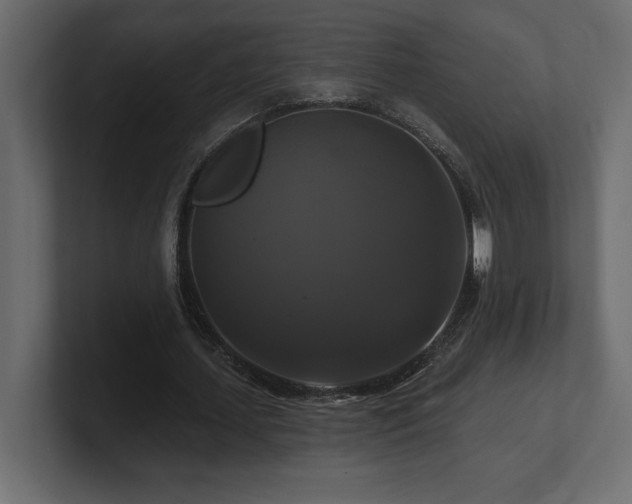 X0000100920627200806241345
