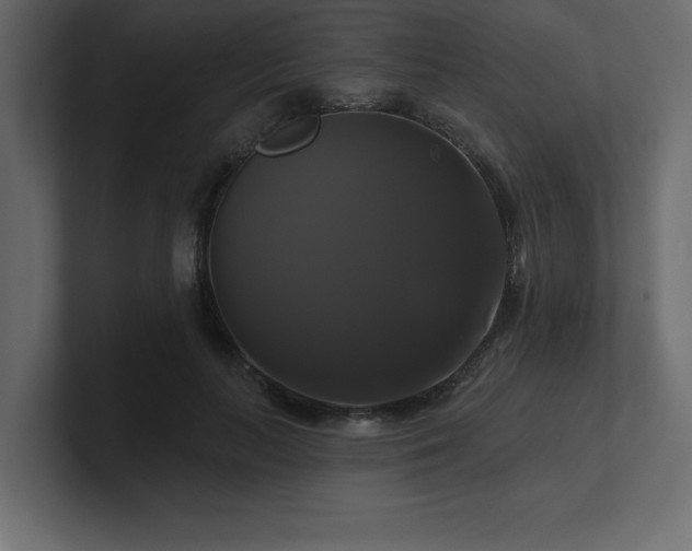 X0000100920647200806241345