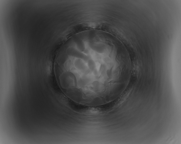 X0000100920656200806241345
