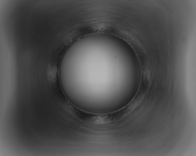 X0000100920660200806241345