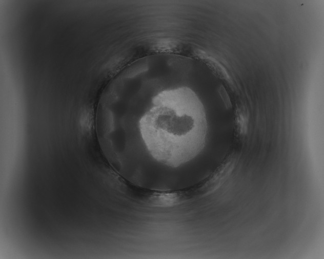 X0000100920665200806241345