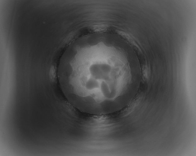 X0000100920667200806241345