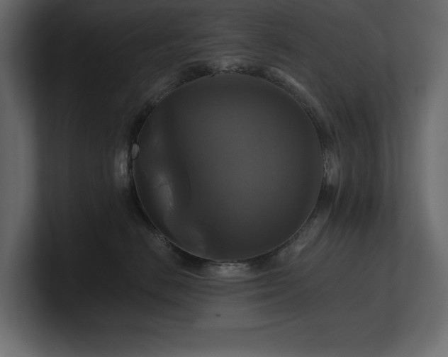 X0000100920670200806241345