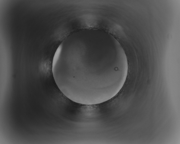 X0000100920672200806241345