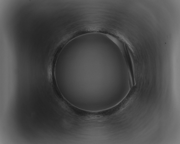 X0000100920681200806241345