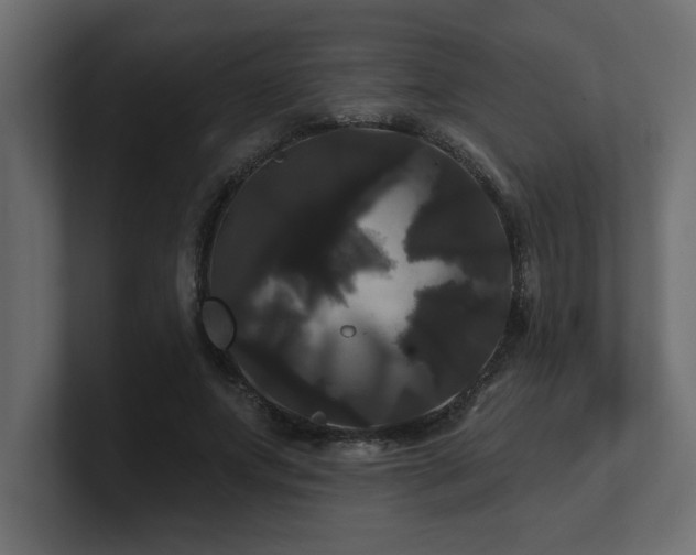 X0000100920687200806241344