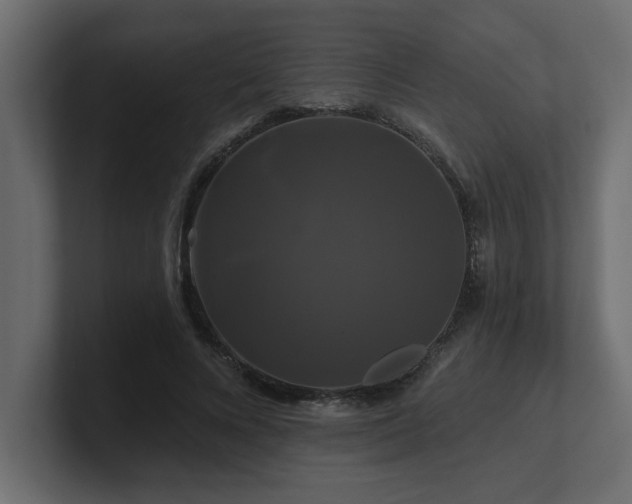 X0000100920688200806241344